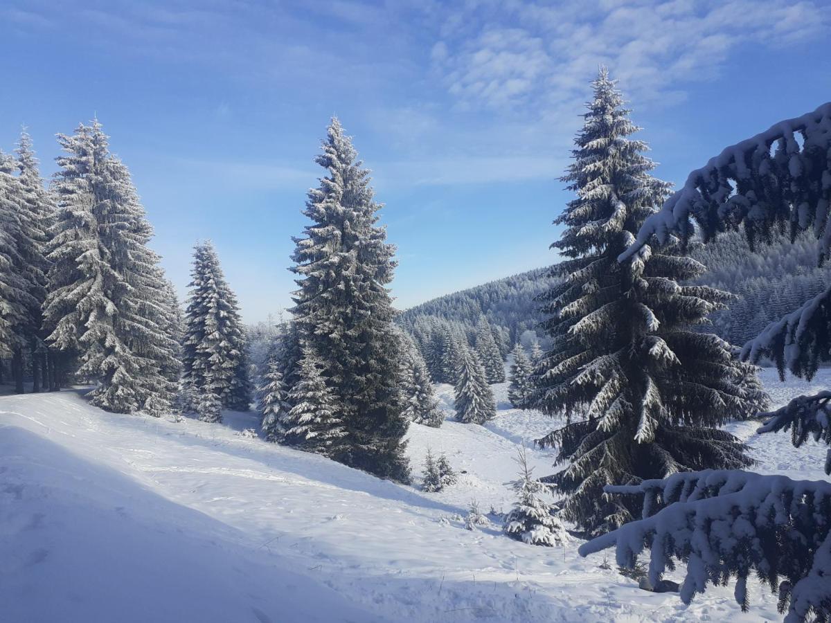 Chalupa U přátel Kovarska Exterior foto
